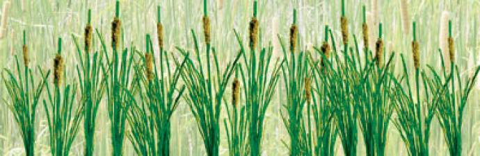 Cattails - Small (24 per pkg)