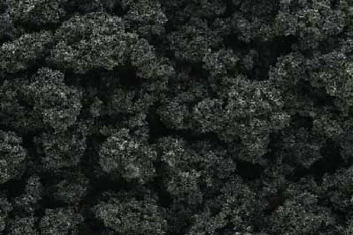 Bushes - Forest Green