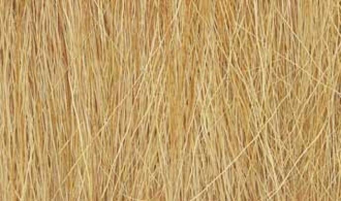 Field Grass - Harvest Gold
