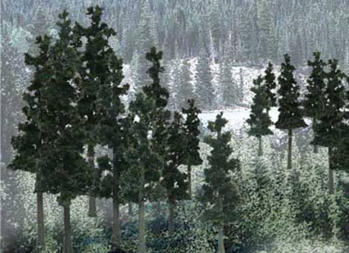 Trees - 2 1/2 to 4in Conifer Green Ready Made Trees