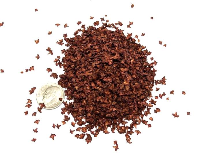 Leaf Litter - Autumn Red Leaves