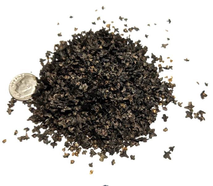 Leaf Litter - Dark Earth Leaves