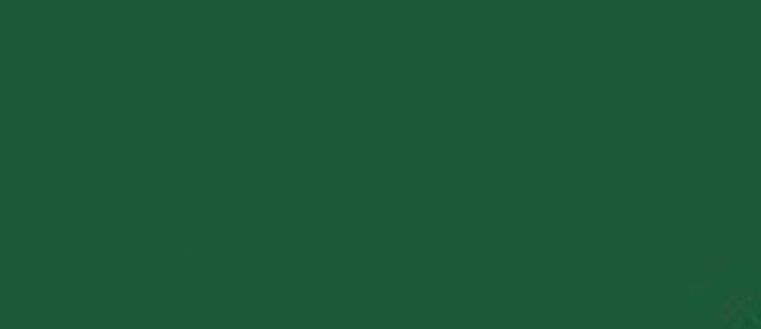 LifeColor Olivgrun rlm 80 (22ml) - ONLY 1 AVAILABLE AT THIS PRICE