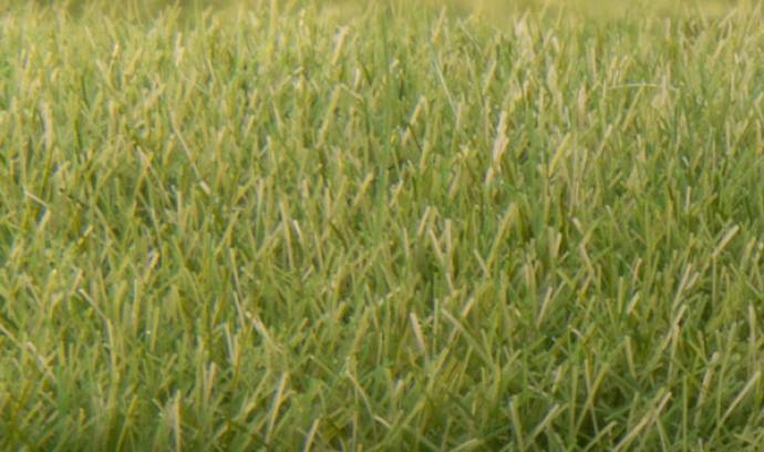 Static Grass- Medium Green (7mm Bag)