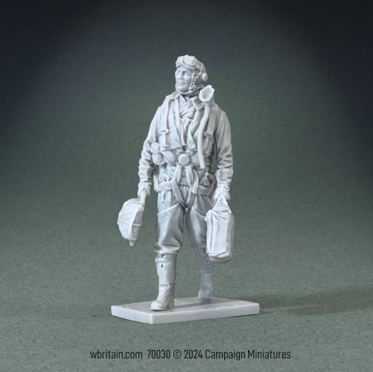 RAF Bomber Pilot, 1940-45 - ONLY 2 AVAILABLE AT THIS PRICE