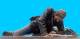 Union Infantry Lying Down, Wounded