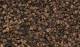 Ballast -Dark Brown Medium