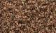 Ballast -Brown Medium