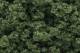 Foliage - Medium Green Clump