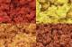 Foliage - Fall Mix Clump