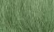 Field Grass - Medium Green