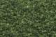 Turf - Medium Green Coarse