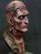 microMANIA - Frankensteins Monster Bust