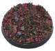 Base X - Black Forest