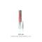 Dspiae Phoenix Plume: 2/0 Fine Detailing Brush Tips (3) for PTFB