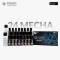Gaahleri ProMaster Series Paints - 24 Color Mecha Set