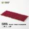 Gamers Grass Garnet Tulip Tiny Flowers