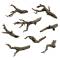 Green Stuff World 3D Printed Set - Broken Tree Branches (MultiScale)