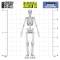 Green Stuff World Positionable Human Skeletons 1:35