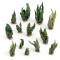 Green Stuff World 3D Printed Set - Curly Sea Weeds 1:48-1:35