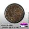 Krautcover - Groundcover - Common Earth (Dark)