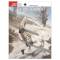 Osprey Combat Aircraft: Fw 190 Schlacht Units