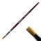 Army Painter Hobby: Drybrush