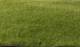 Static Grass- Dark Green (2mm Bag)