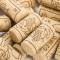 Odd Bit Painting Handle - 10 Corks