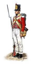 Napoleonic Peninsular War British Infantry