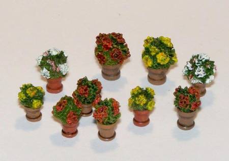 Flowers in Flower Pots