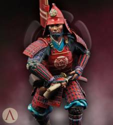 Middle Ages: Nobunagas Warrior
