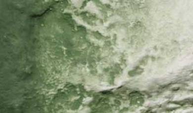 Liquid Pigment - Green Undercoat