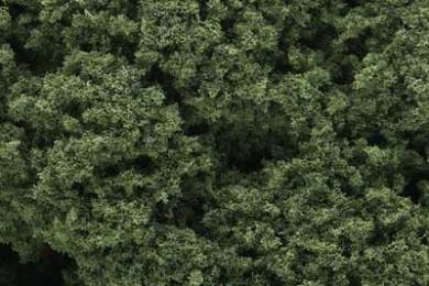 Foliage - Medium Green Clusters