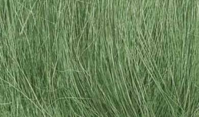 Field Grass - Medium Green