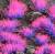 Gamer Grass Gga-Ne Gamer Grass Alien Neon 4mm 
