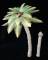 Asian Type Palm Tree 1/35th to 1/32nd Scale
