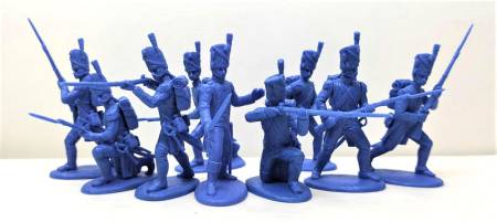French Old Guard Grenadiers (Foot)