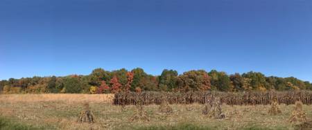 Autumn Harvest, Scenic Backdrop