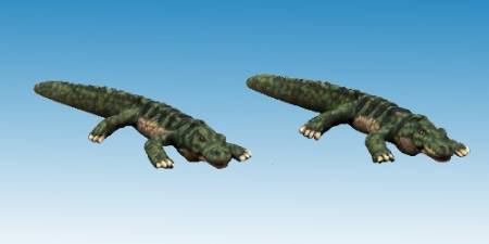North Star Africa - Dwarf Crocodiles (2)
