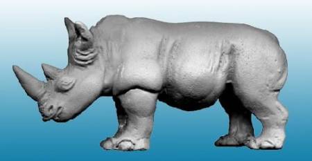 North Star Africa - Rhino (1)