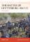 Osprey Campaign: The Battle of Gettysburg 1863 (3)