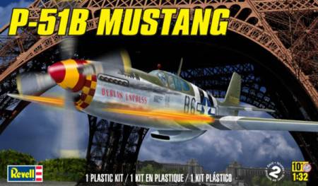 P51B Mustang Fighter