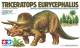 Triceratops Eurycephalus Dinosaur -2023  Re-release