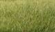 Static Grass- Medium Green (7mm Bag)