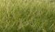 Static Grass- Medium Green (12mm Bag)