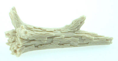 Fallen Dead Tree #3