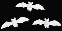3 Bats