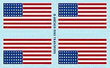 US 48 Star Flag