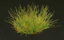 Grass Tuffs- Light Green Long and Short